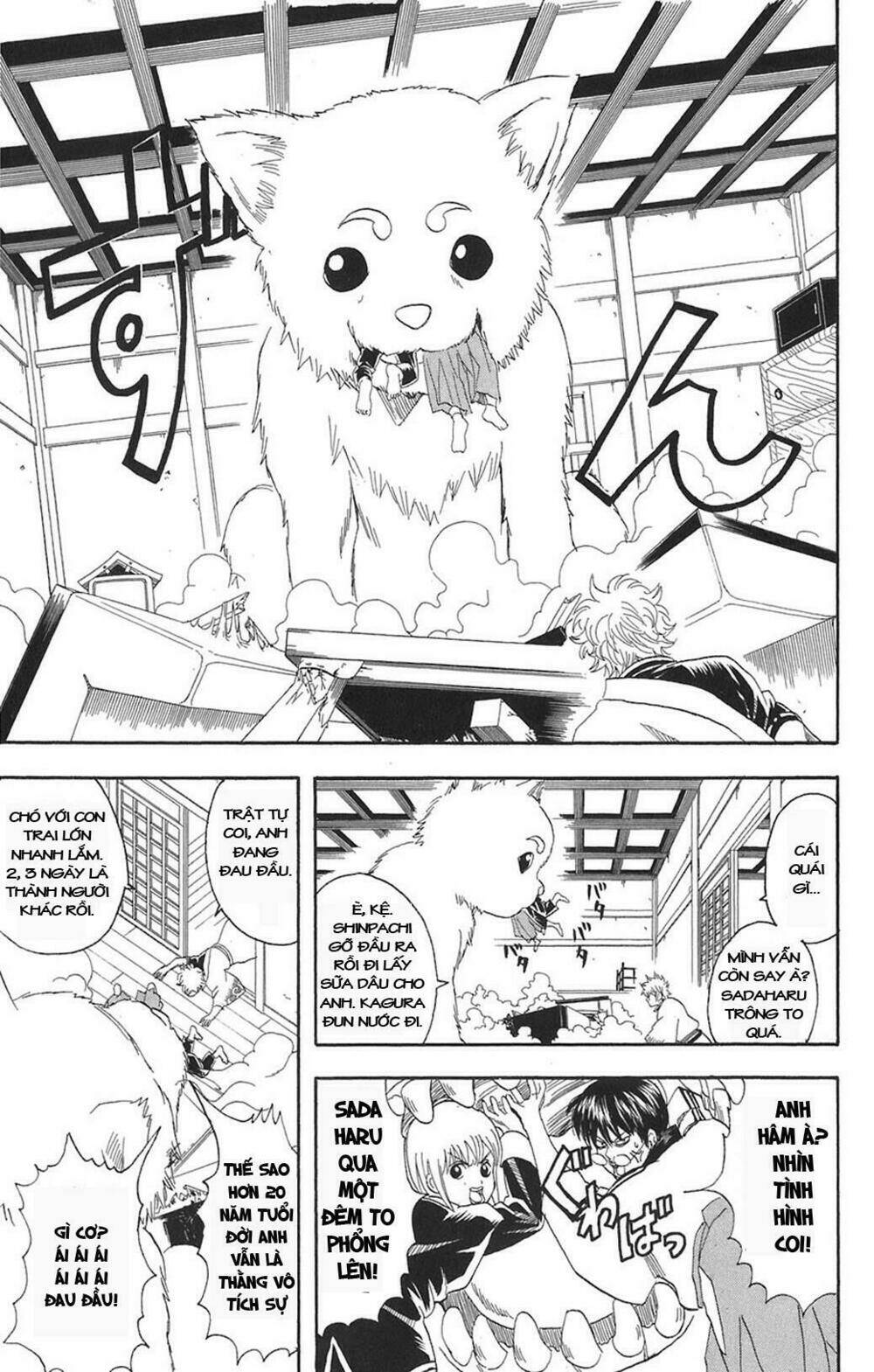 gintama - linh hồn bạc chapter 71 5