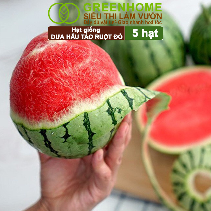 Hạt Giống Dưa Hấu Táo Ruột Đỏ Greenhome, Gói 5 Hạt, Dễ Trồng Quanh Năm, Nảy Mầm Cao, T23