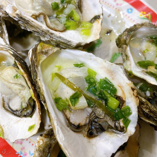 Hàu Sữa Pháp Sống