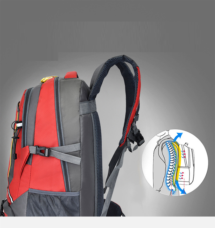 Balo du lịch, balo phượt, balo leo núi thể thao phong cách mới - BEE GEE BLLN1016A