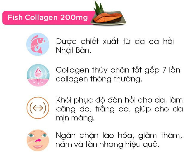 Fish Collagen