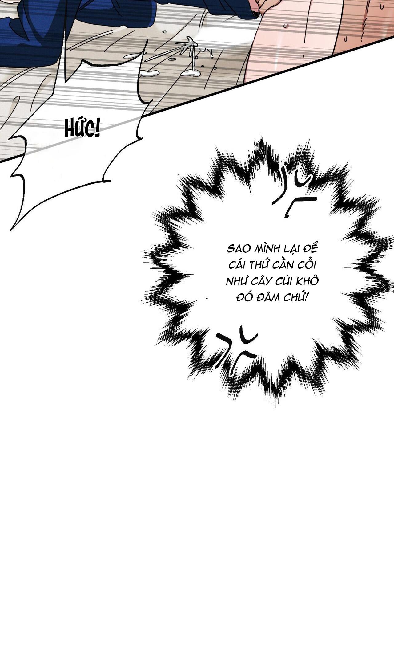 làm dâu nhà tài phiệt họ kang chapter 36 56