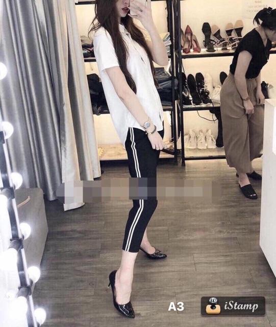 SOMI TRẮNG CỘC TAY ĐUÔI TÔM