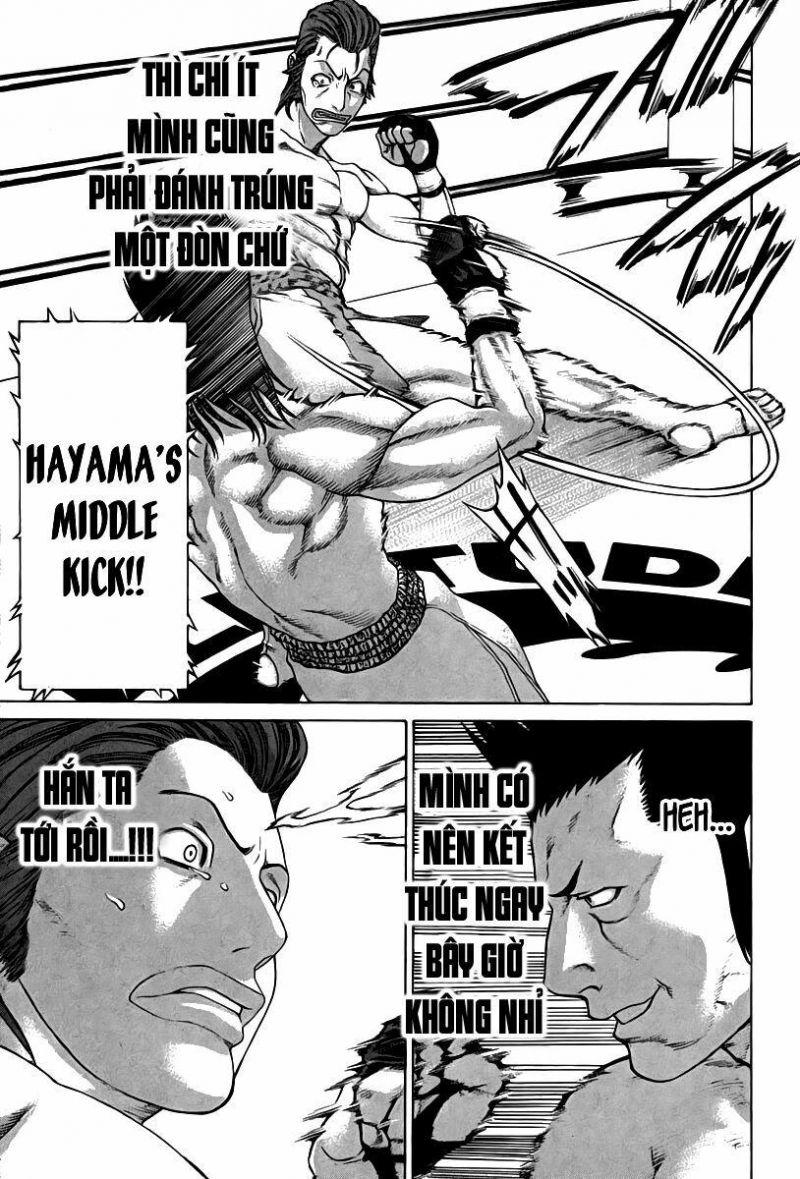 karate shoukoushi kohinata minoru chapter 194 14