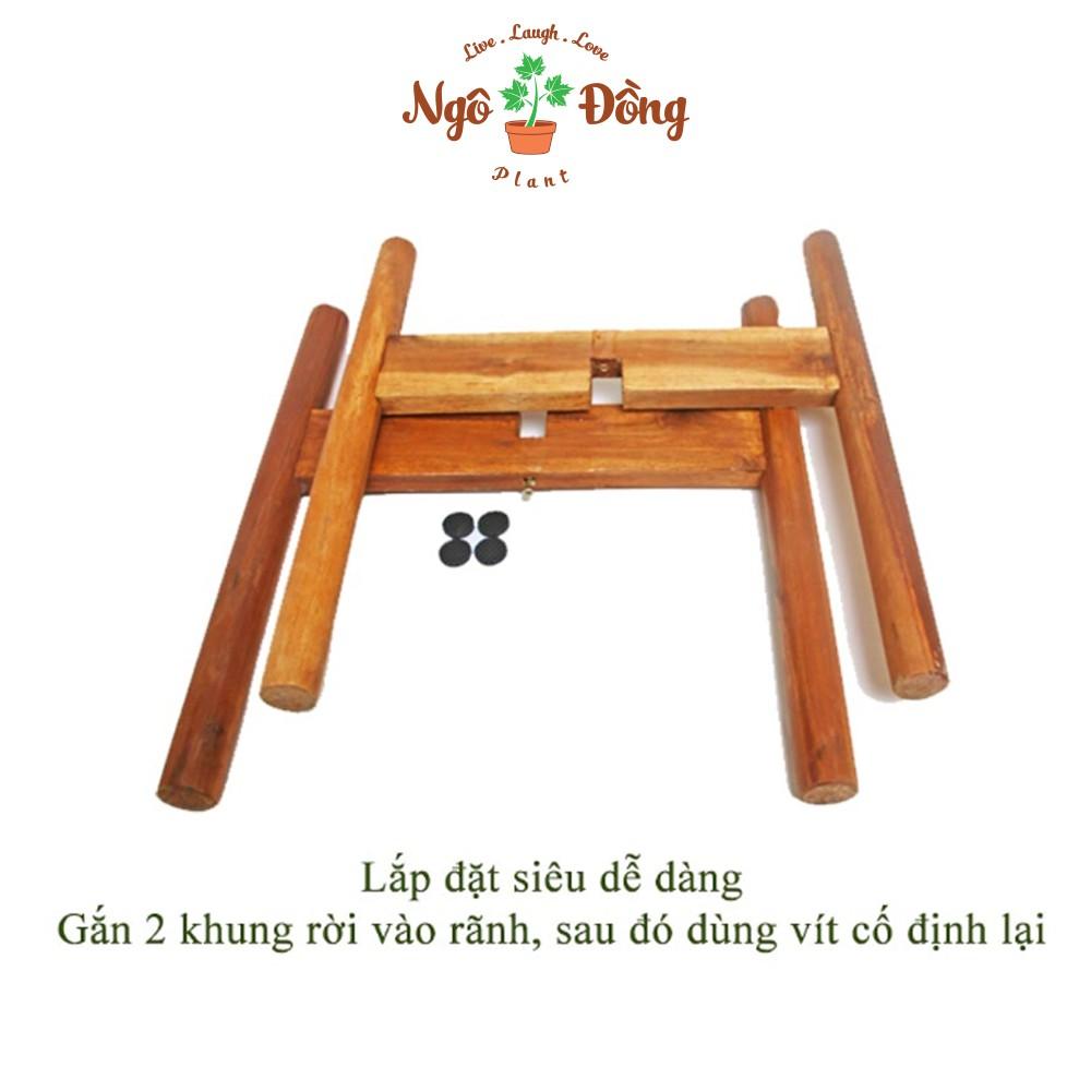 Combo 1 Đế Lót Chậu Cây Cảnh Tròn Chịu Lực Đến 80kg và 1 Đôn Kê Chậu Hoa 1 Tầng C30cm Chân Tròn