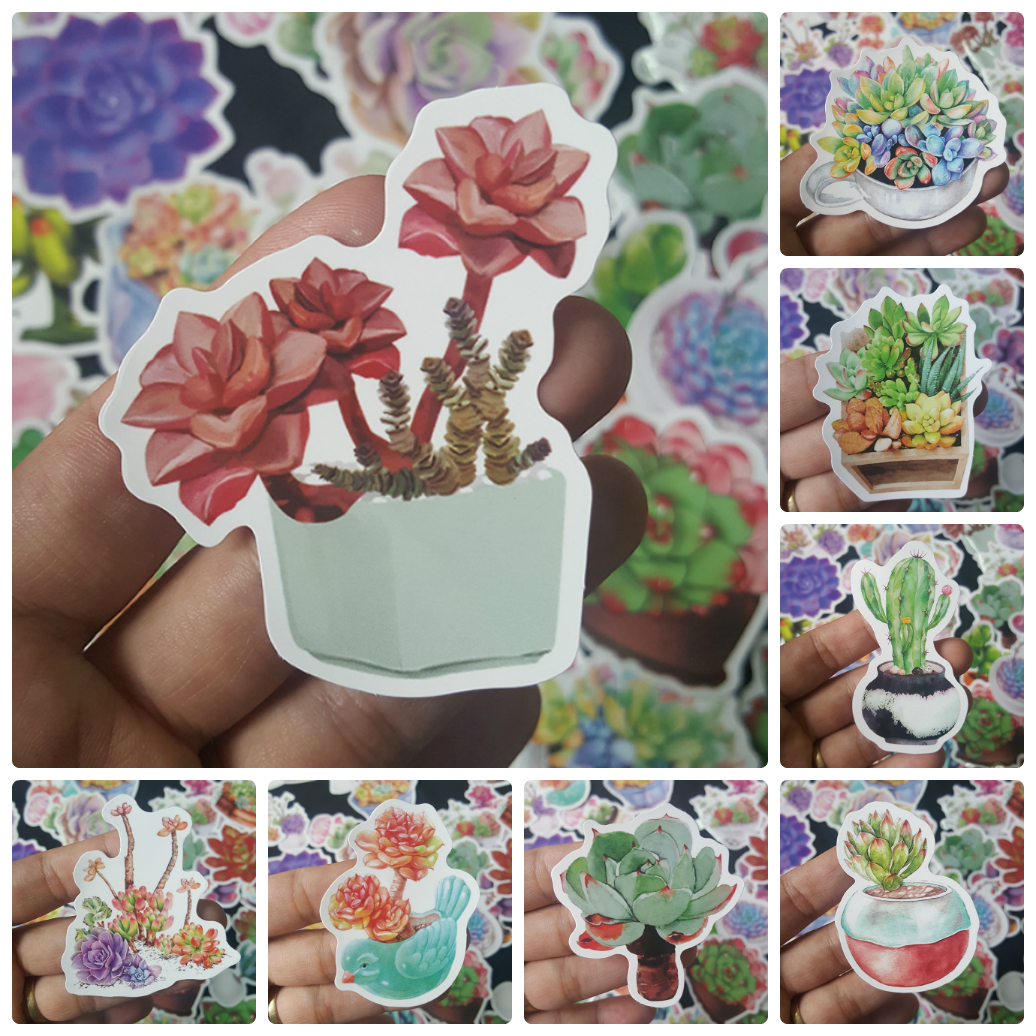 Bộ Sticker dán cao cấp chủ đề SEN ĐÁ SUCCULENTS - Dùng dán Xe, dán mũ bảo hiểm, dán Laptop