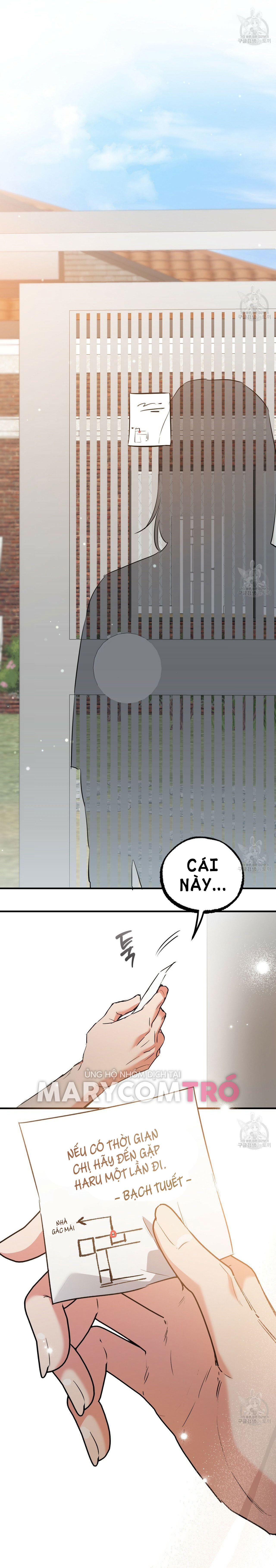 những chú thỏ của hapypy chapter 56.1 21