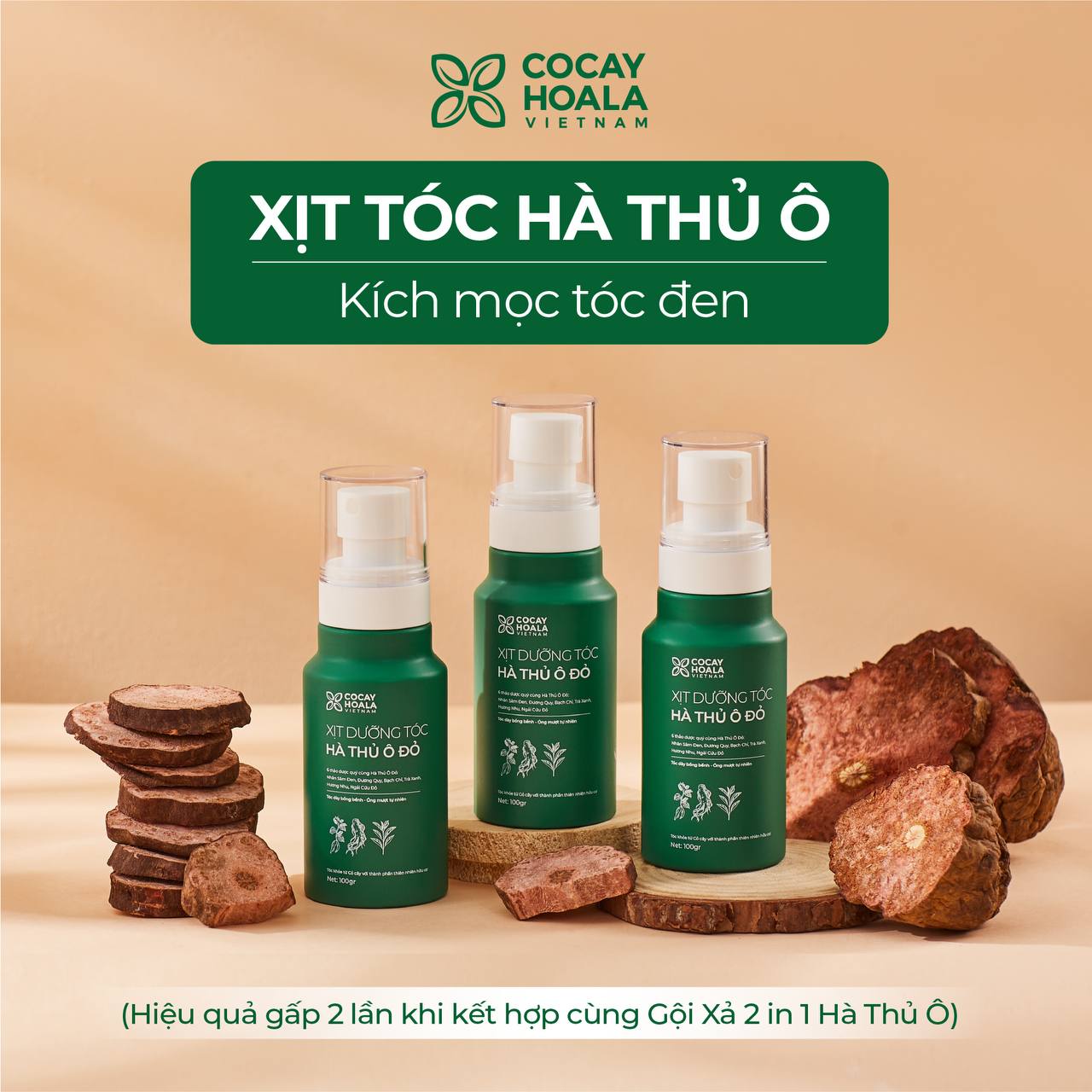 Dầu Gội Xả 2in1 Hà Thủ Ô COCAYHOALA VIETNAM - Dưỡng tóc đen mượt, bóng khỏe, Dung tích 420g/chai