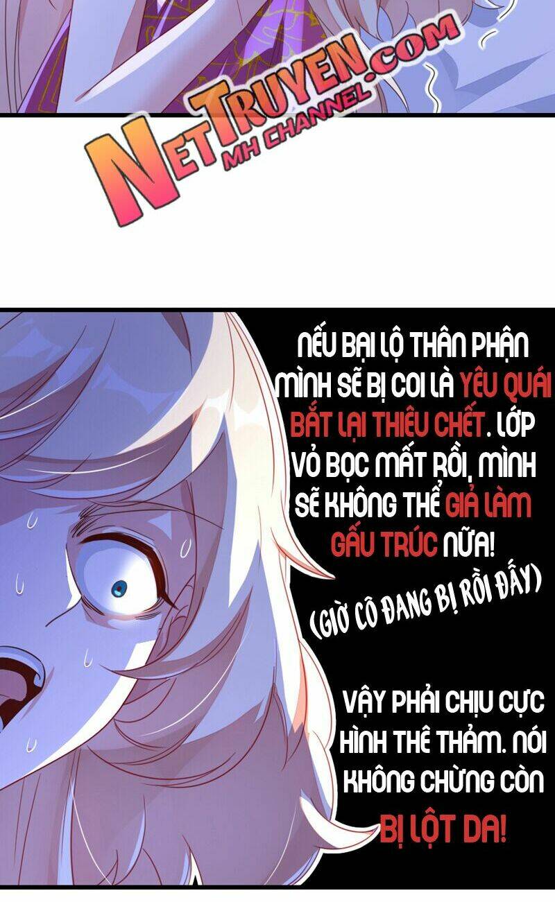 thiên thần gấu trúc muốn được ôm chapter 21 7