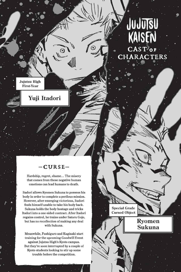 Jujutsu Kaisen 3 (English Edition)