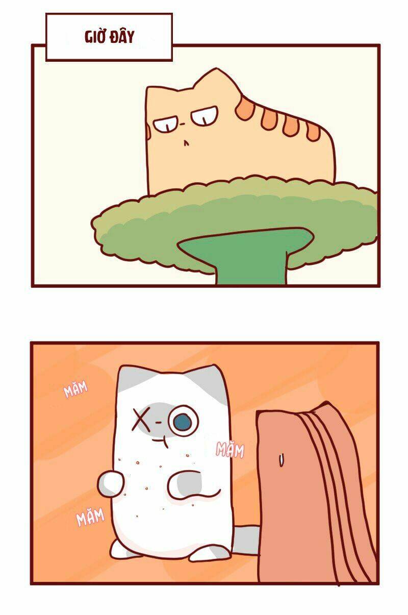 saphie: chú mèo một mắt chapter 18 13