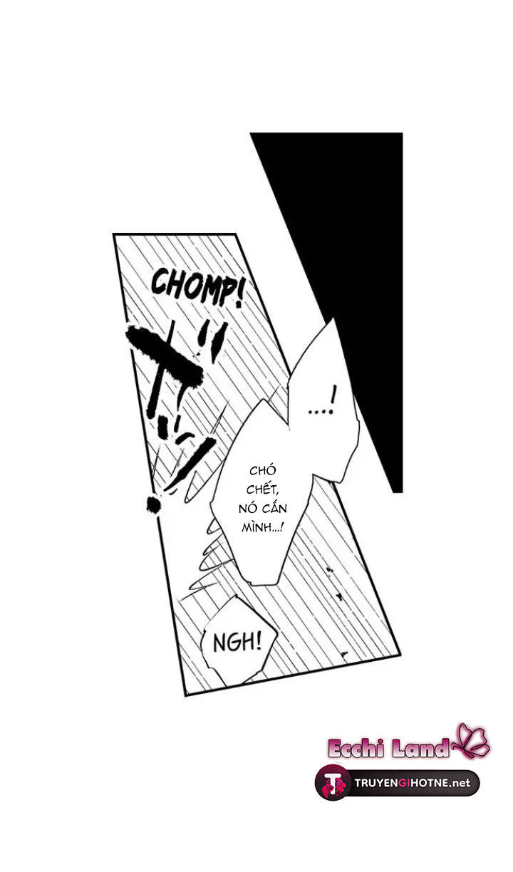 gần kề cái chết là lúc gào khóc tình yêu chapter 38.1 5