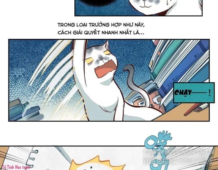 thời khắc ấy, chúng ta gặp nhau chapter 18 6