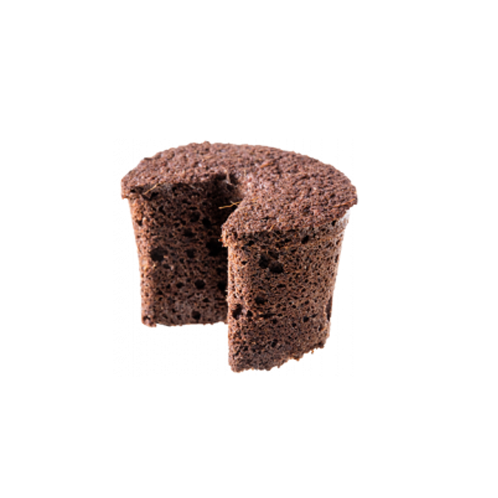 05 Viên mút hữu cơ ươm keiki lan