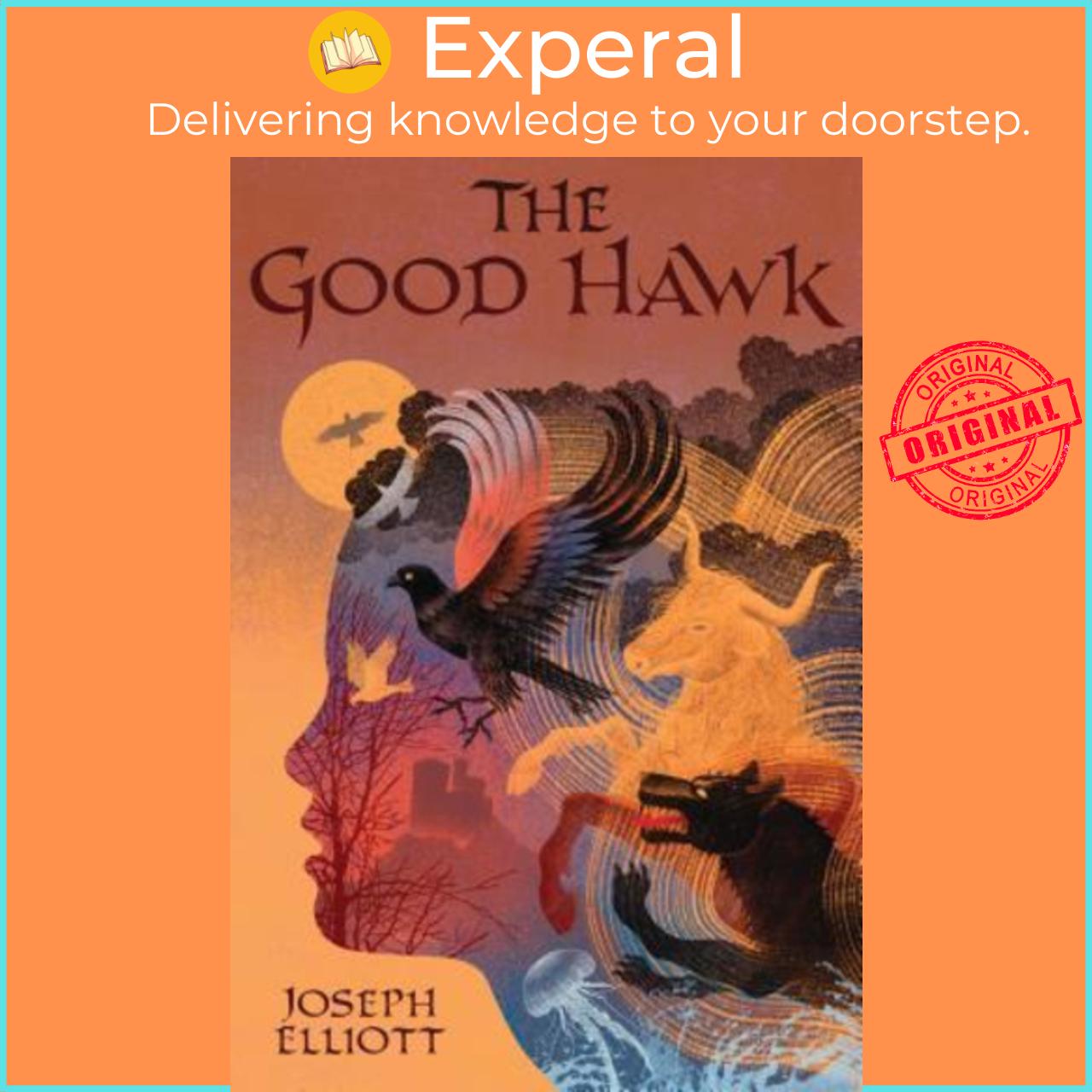 Sách - The Good Hawk (Shadow Skye, Book One) by Joseph Elliott (US edition, hardcover)