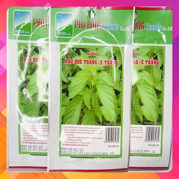 Hạt giống rau quế trắng