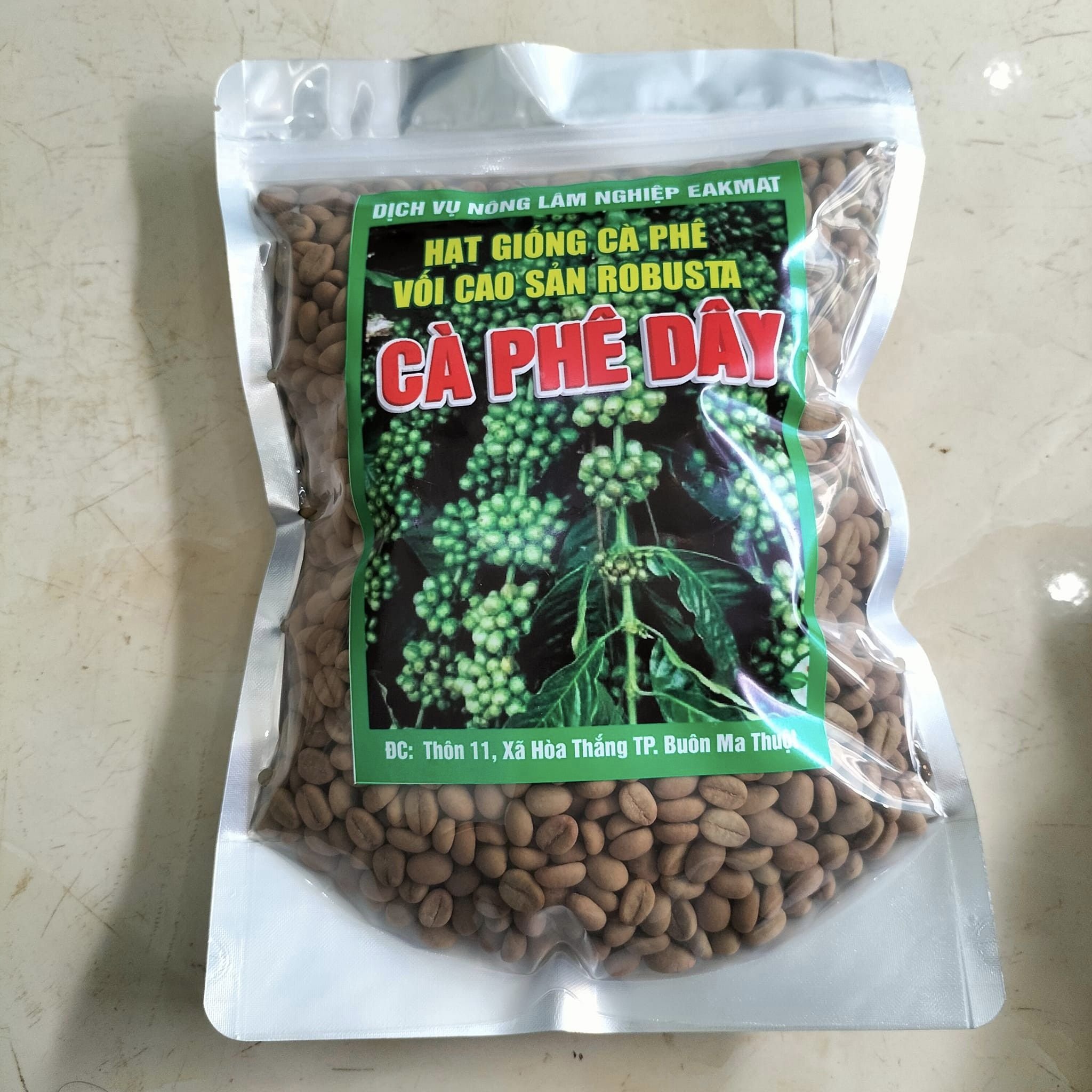500gram hạt cà phê xanh lùn giống