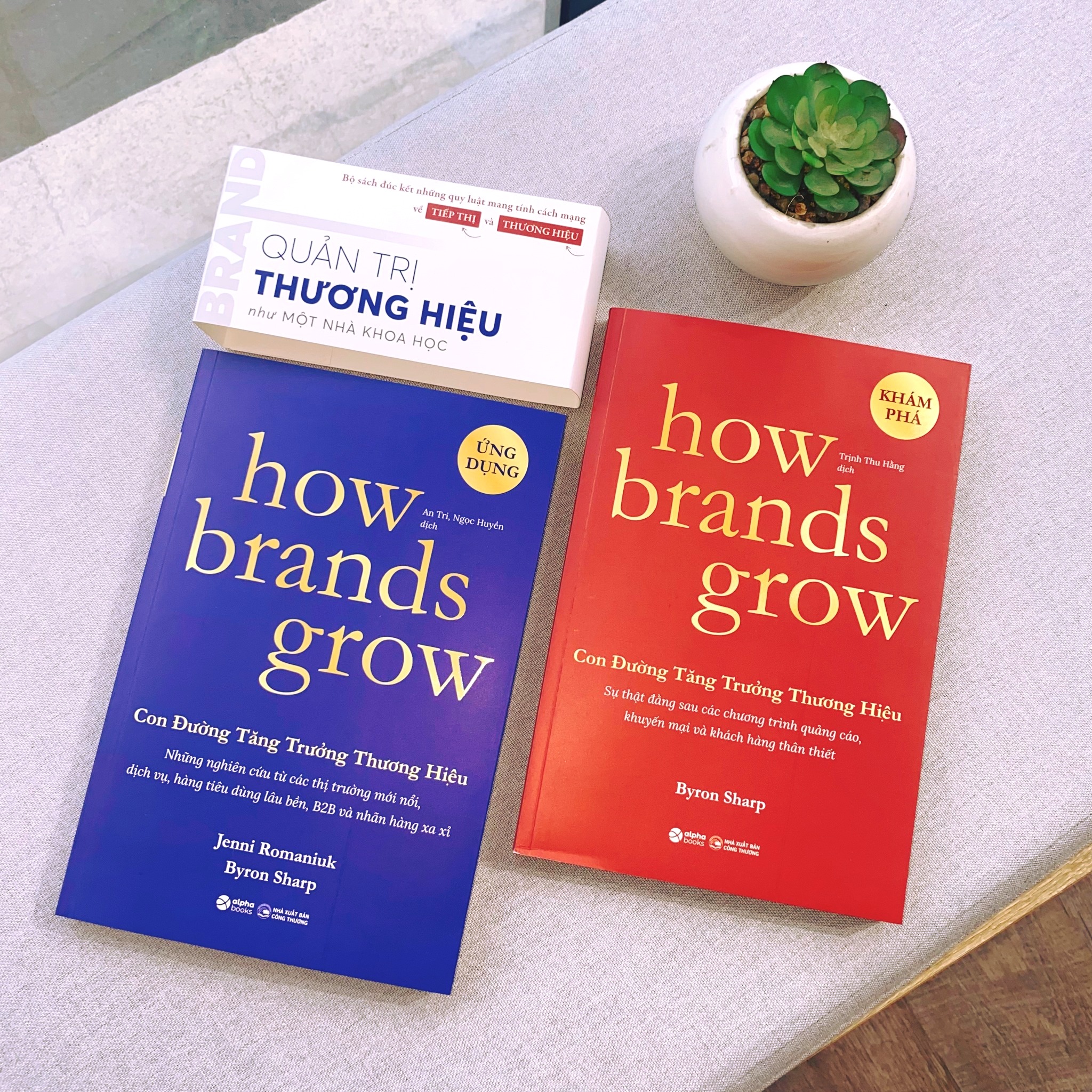 Combo 2 quyển How Brands Grow - Con đường tăng trưởng thương Hiệu