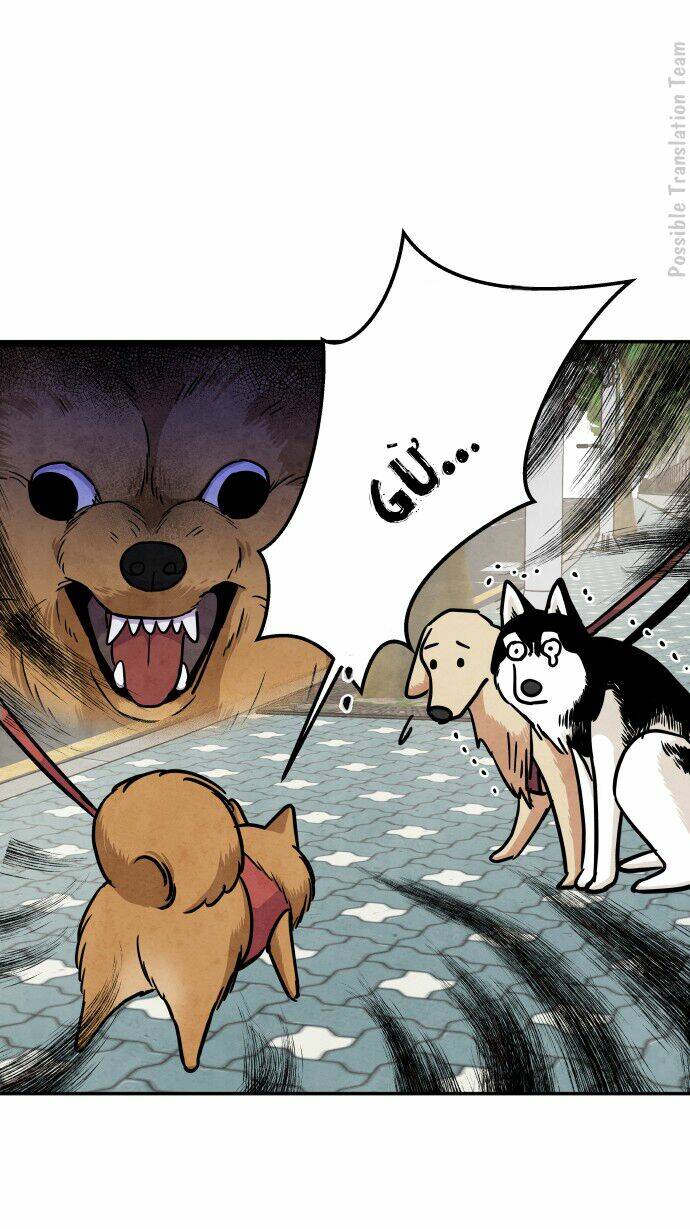 tai sói và mũ đỏ chapter 33 33