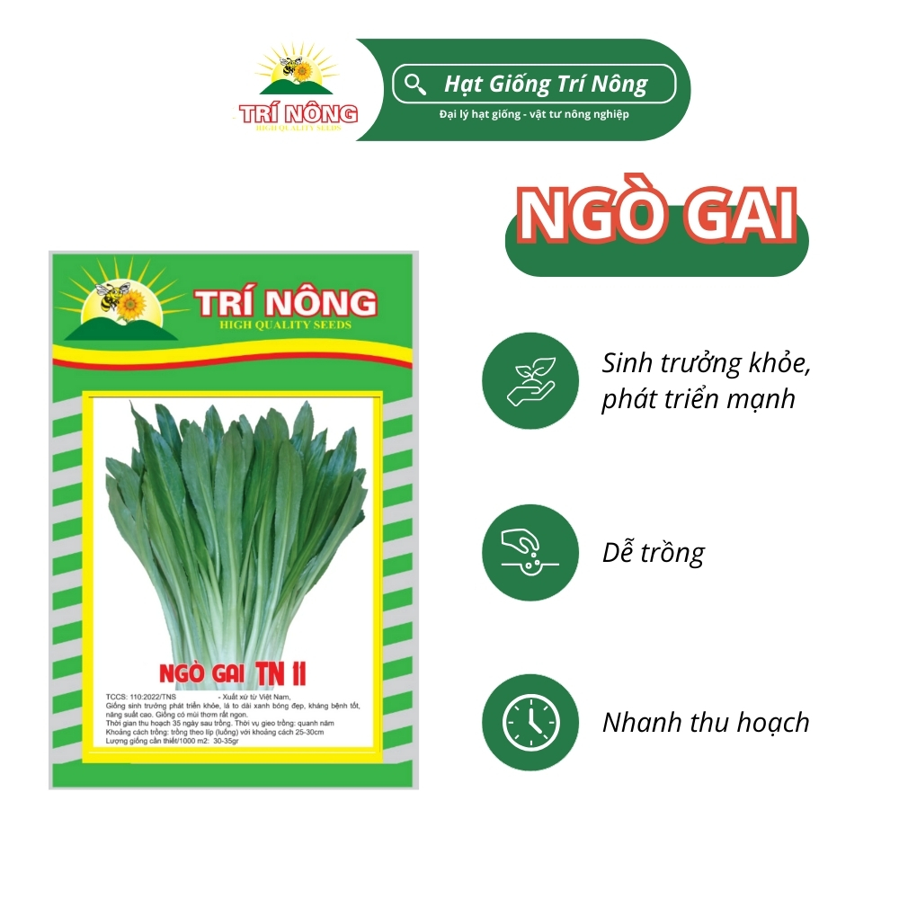 Hạt Giống Ngò Gai Trí Nông , TN11, Dễ Trồng, Dễ Chăm Sóc, Thời Gian Thu Hoạch 35 ngày, Gói 10 gram