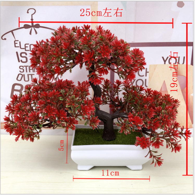 Chậu Bonsai hình cây thông Hà Lan màu vang đỏ