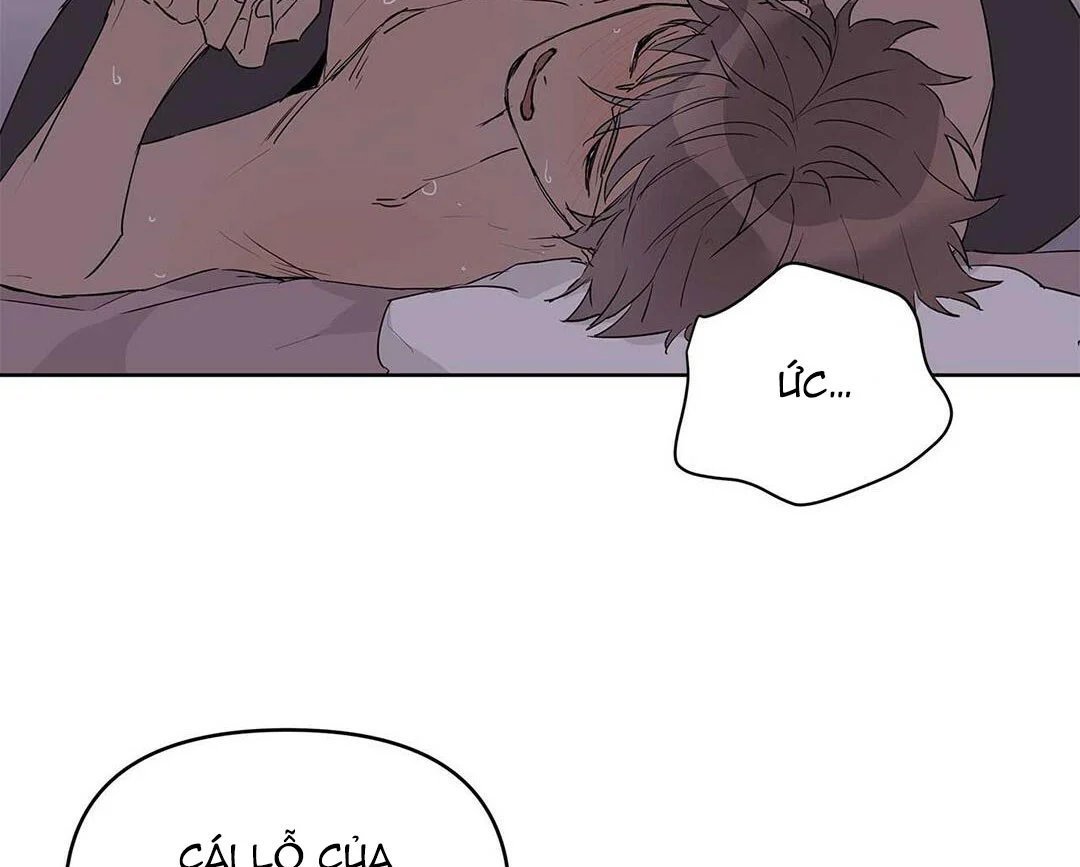 guide cấp b chapter 21 54