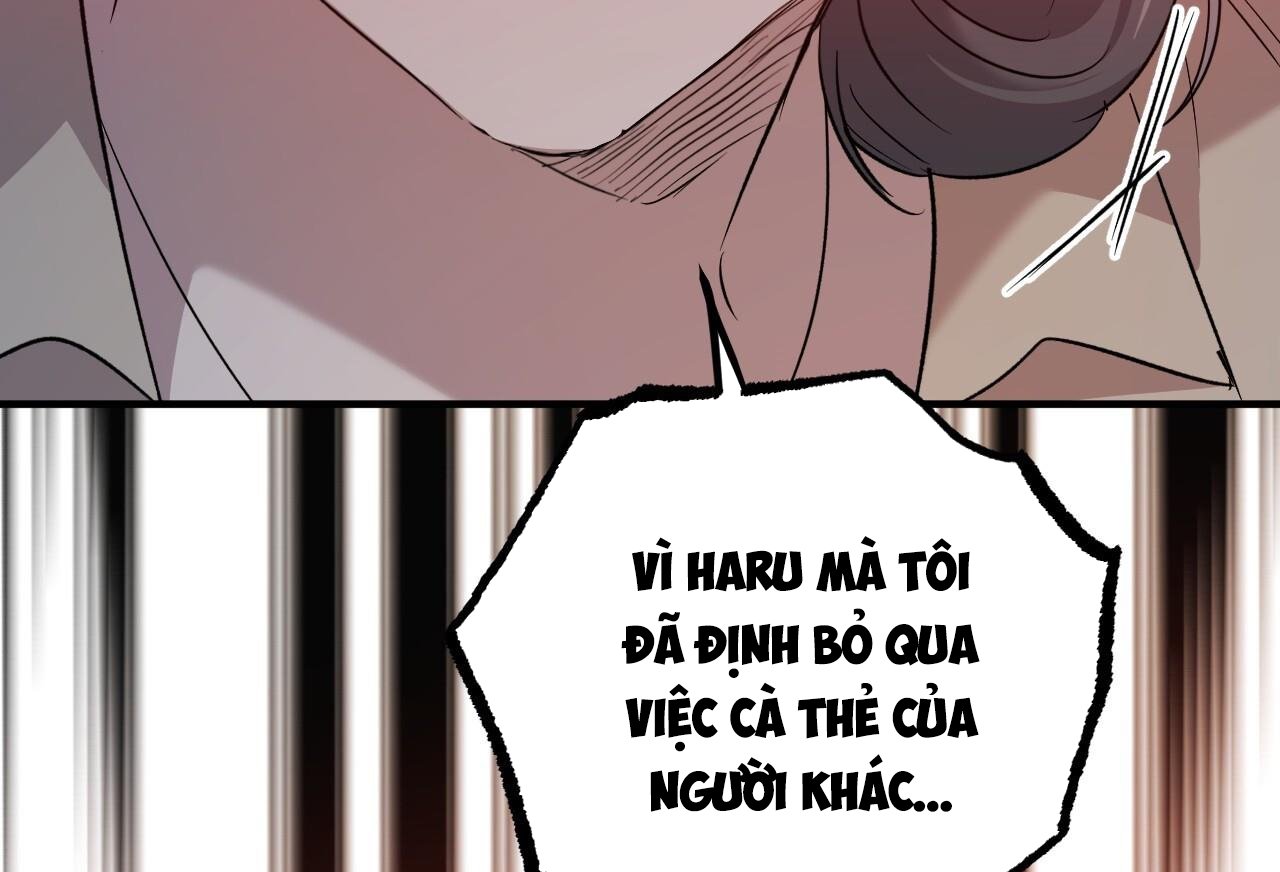 những chú thỏ của hapypy chapter 58 80