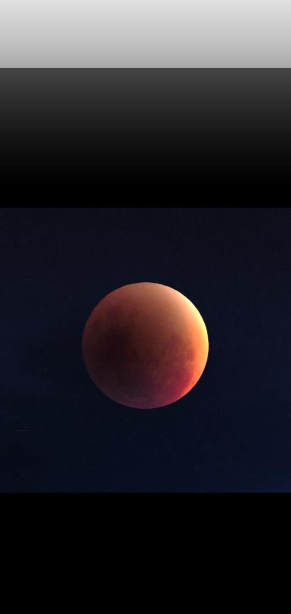 dark moon - tế đàn ánh trăng chapter 40.1 24