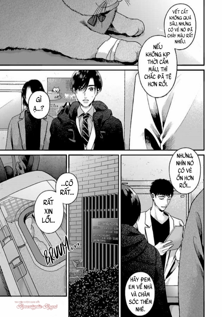 tạm biệt đồng phạm của tôi chapter 1 27