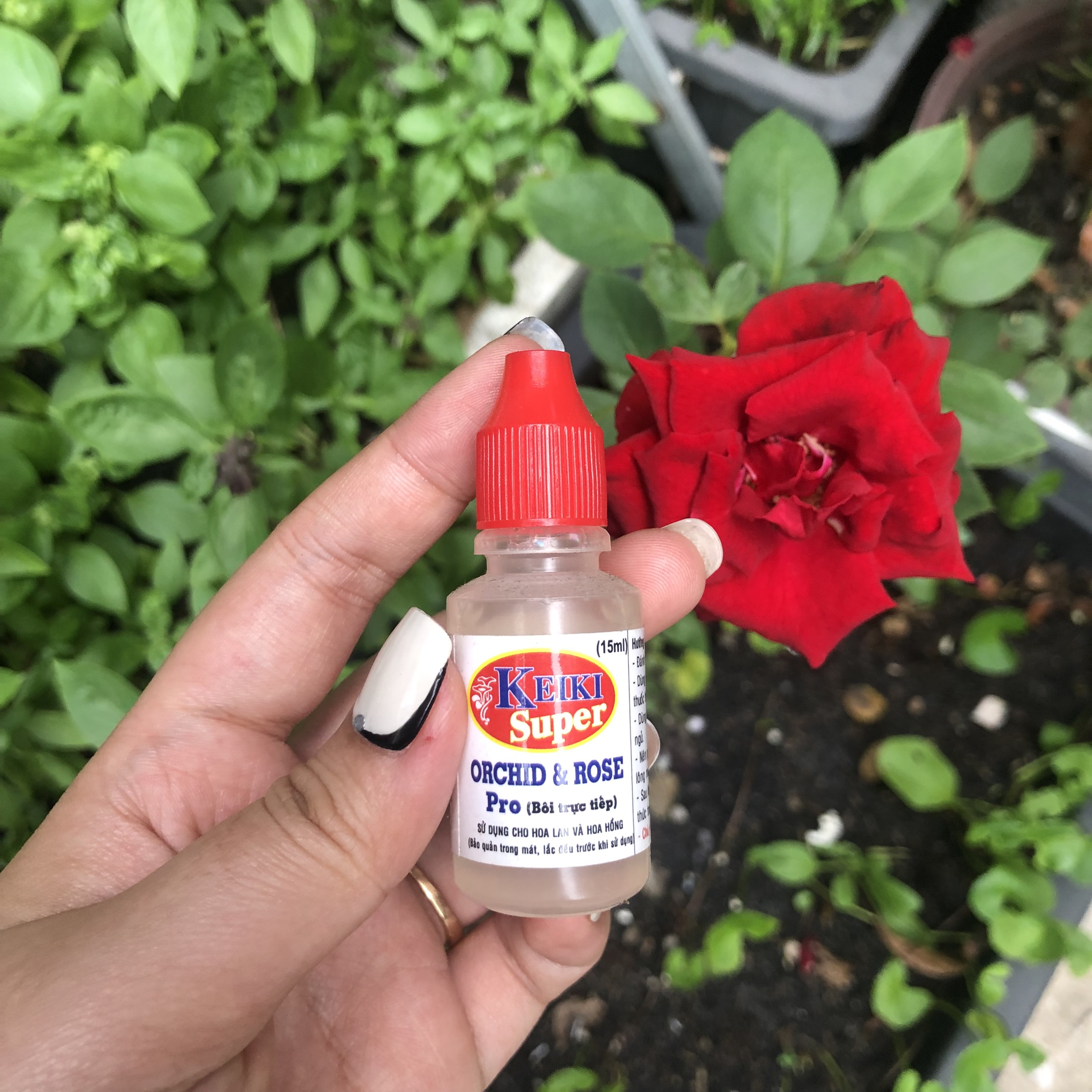Keiki Super Đỏ – Kích Mầm, Kích Chồi Dạng Bôi Trực Tiếp