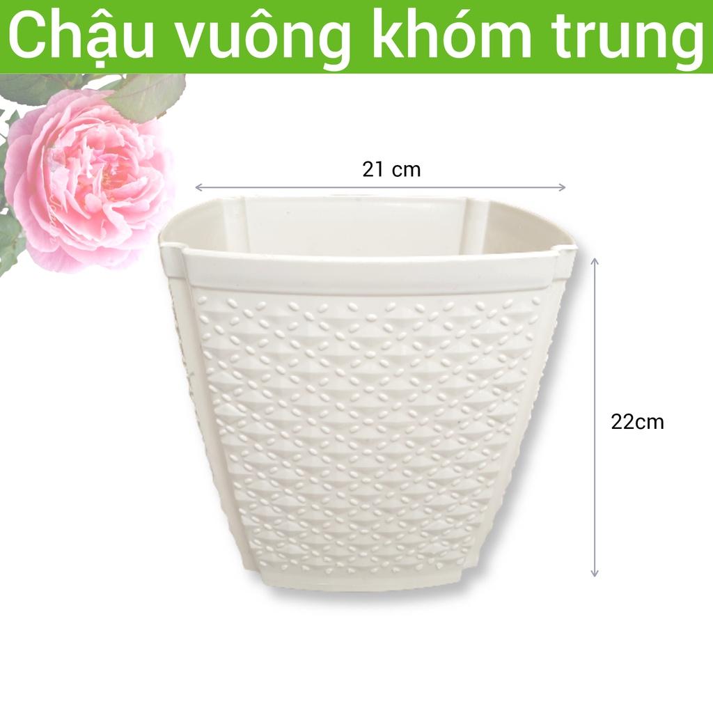 Chậu nhựa vuông mắt khóm trồng cây