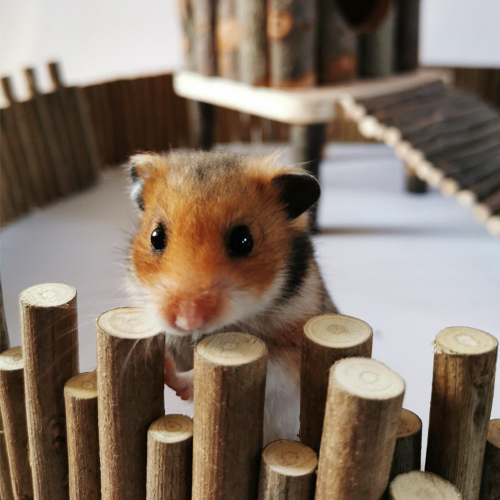 Hamster Wooden Fence Standing Climbing Platform Door Fence Small Animals Chew Toys Hamster Climbing Ladder Hamster Bridge for Chipmunk Mice
