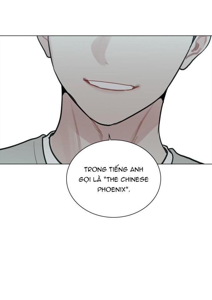 không xa lạ chapter 4 49