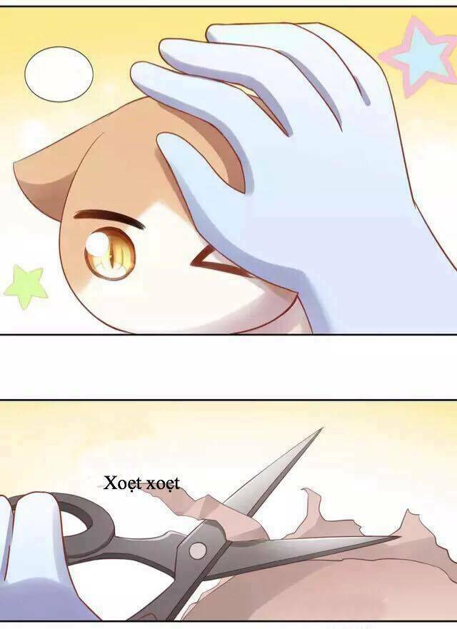 thị hoang chi thần chapter 13 32