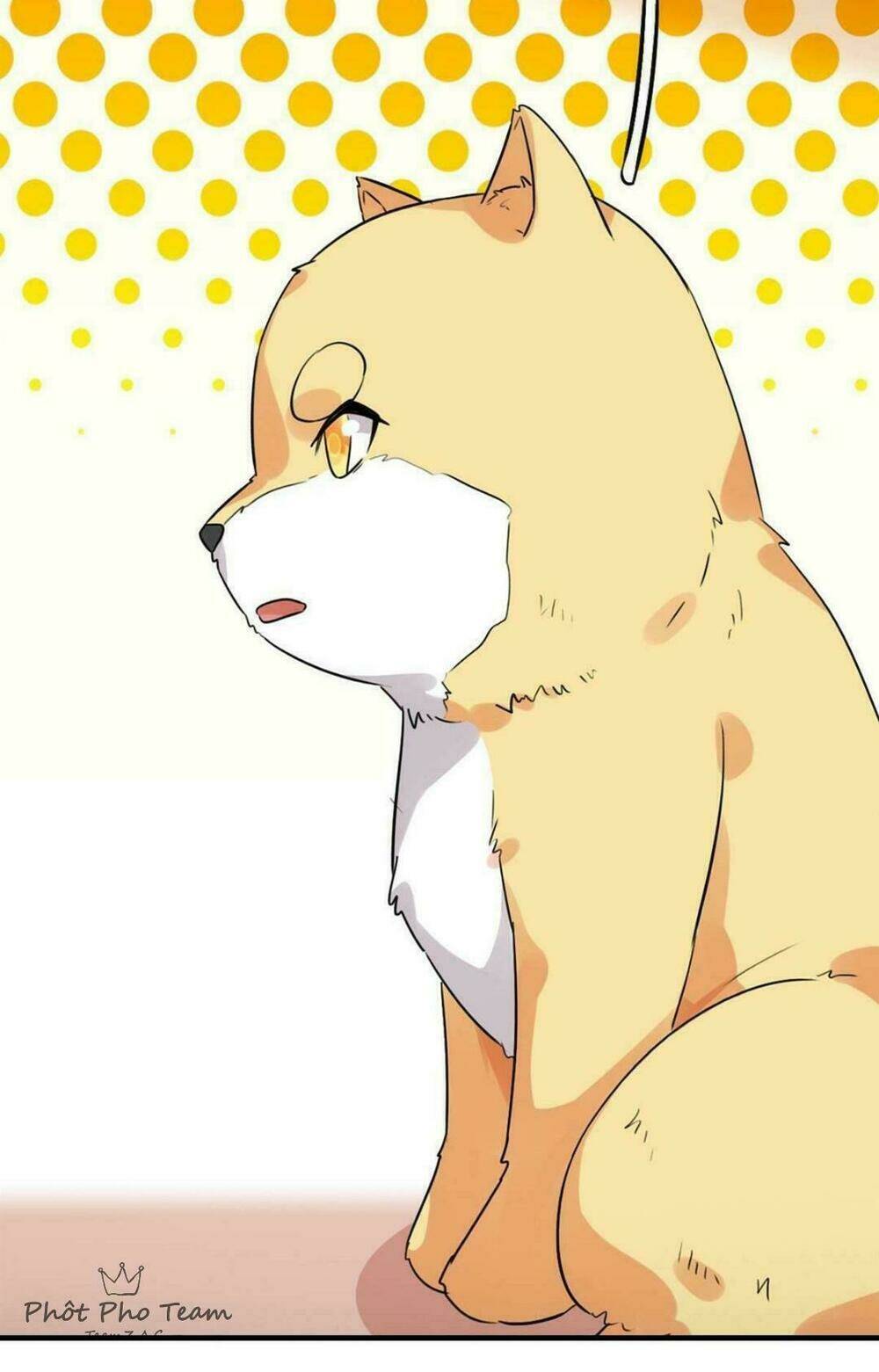 hôm nay lại cũng không thể biến thành người được chapter 1 12