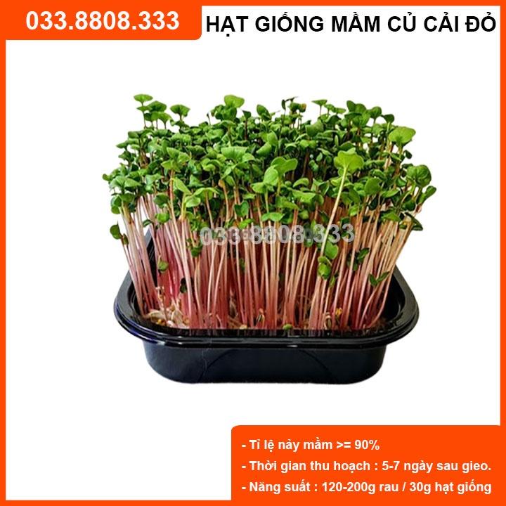 Hạt Giống Rau Mầm Củ Cải đỏ Siêu Dinh Dưỡng, Nhanh Thu Hoạch 1kg