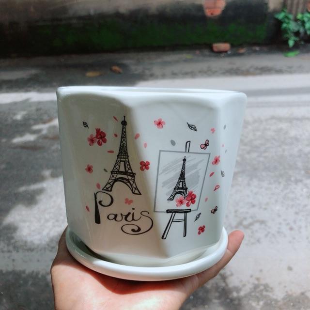 Chậu Trồng Cây