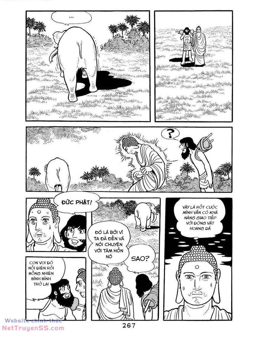 buddha - truyền thuyết đức phật chapter 67 25