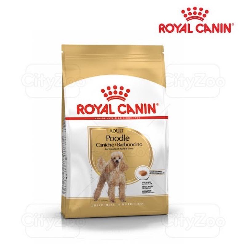 Thức ăn- Hạt khô Royal canin dành riêng cho chó poodle trưởng thành, giúp hỗ trợ sức khỏe của hệ thống miễn dịch