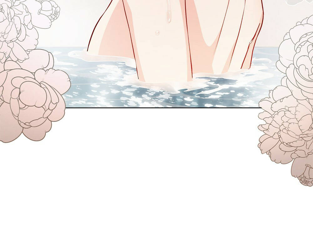 đi tìm nàng camellia chapter 20.1 23