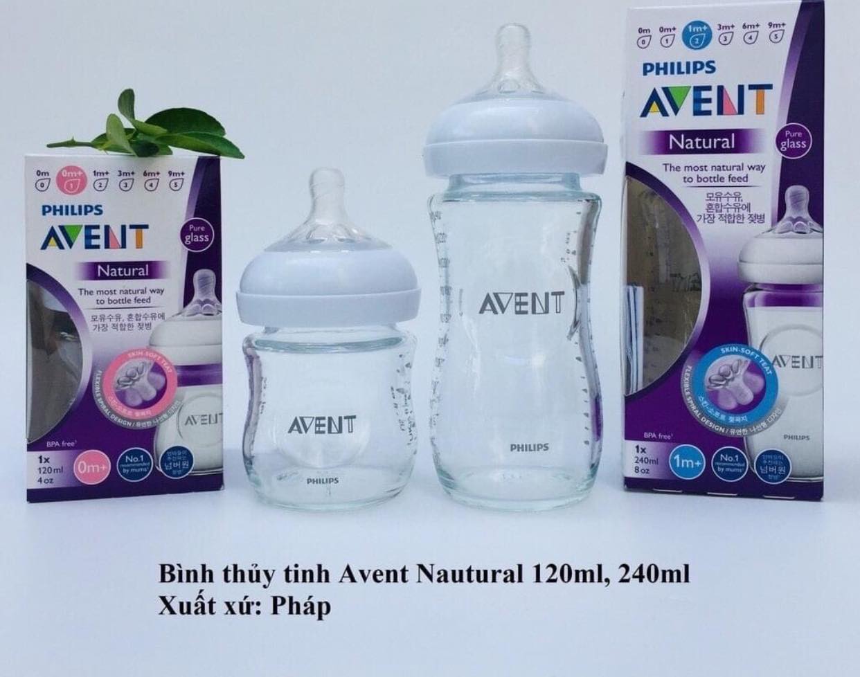 Bình sữa avent thuỷ tinh 120ml ,240ml chính hãng