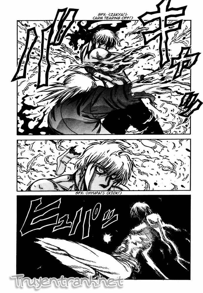 hellsing chapter 86 14