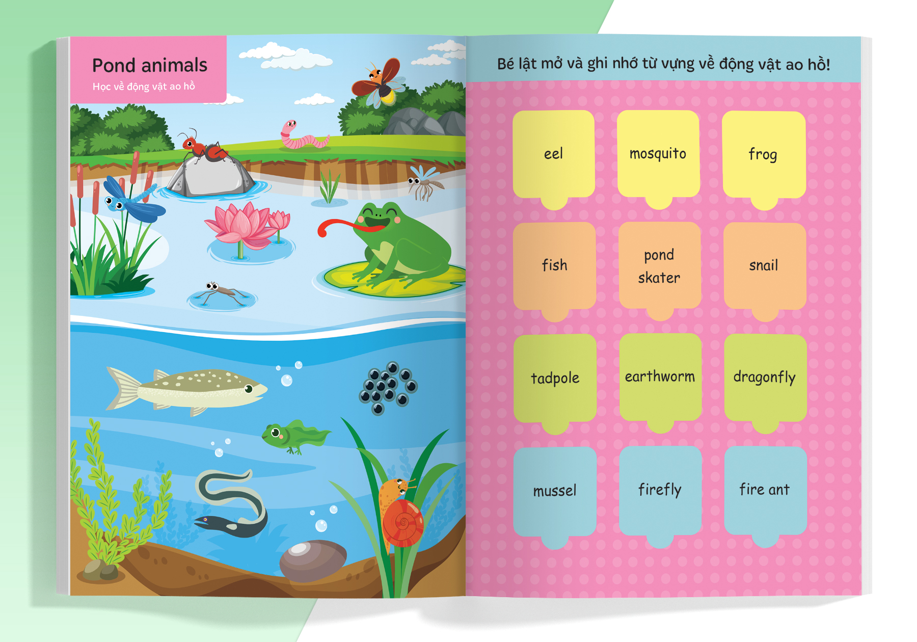 Lật Mở Từ Vựng Tiếng Anh Đầu Tiên Cho Bé - Cuốn 3 _MEGA
