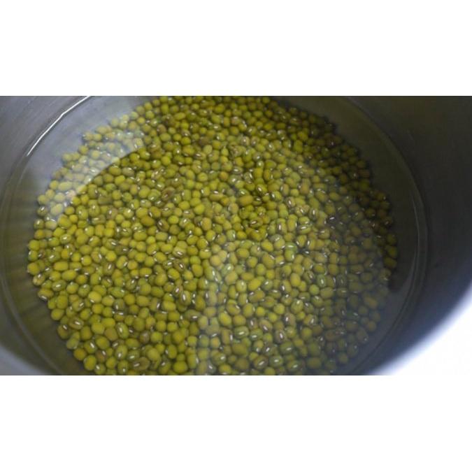 Hạt giống mầm giá đậu xanh-gói 50 gram