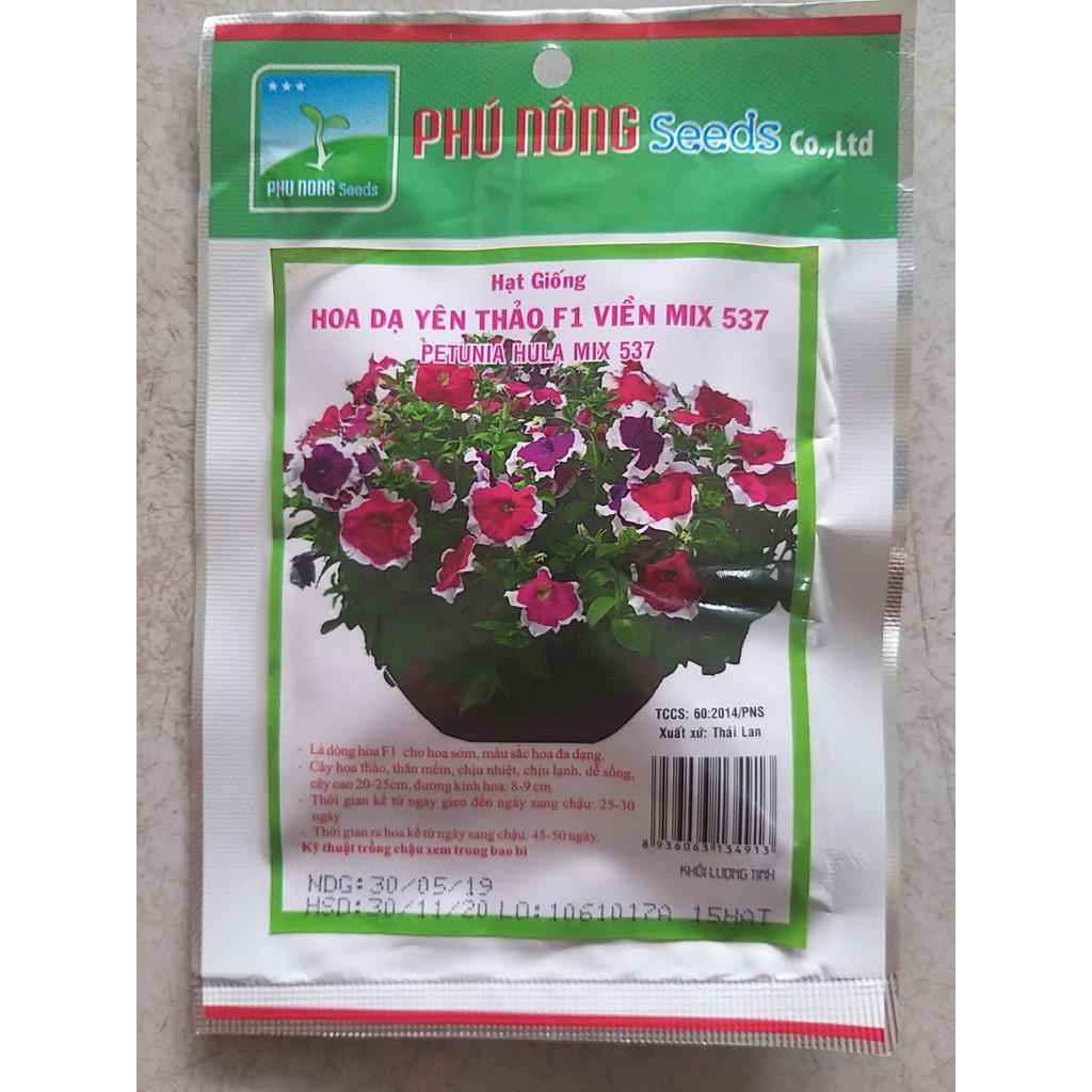 Hạt giống Hoa dạ yên thảo viền mix PN
