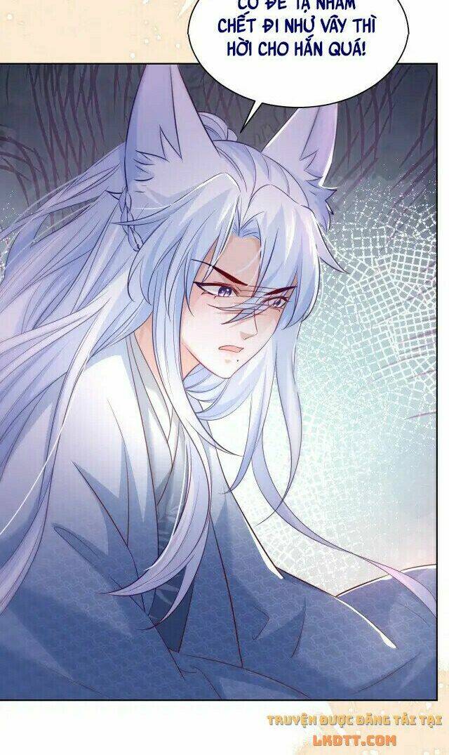 hắc hóa nam chính trực tuyến nuôi thỏ chapter 43 22