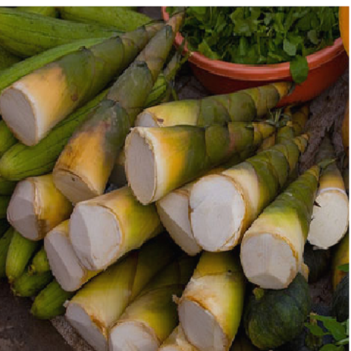 COM BO 2 CÂY GIỐNG MĂNG BÁT ĐỘ