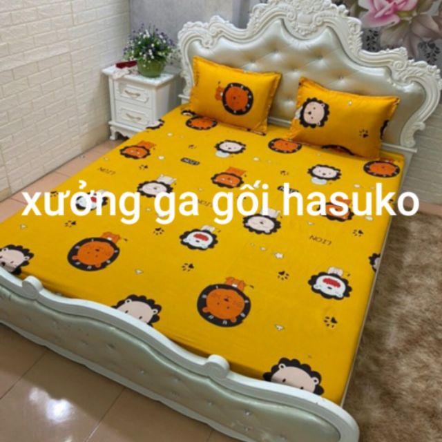 Lẻ = sỉ bộ ga chun cotton poly m6 hoặc m8