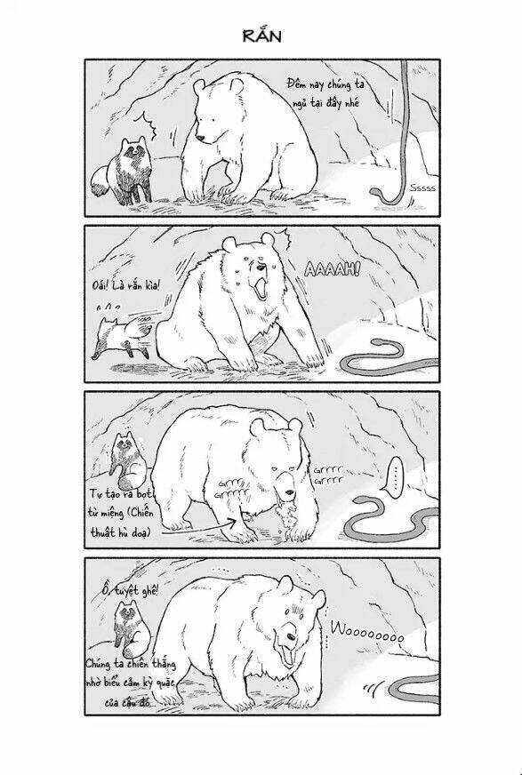 gấu và tanuki chapter 10 1