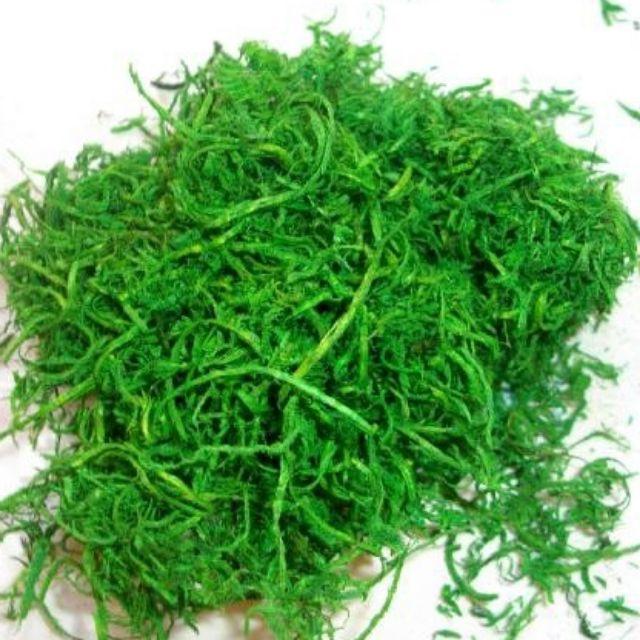 100G CỎ SỢI/ BỘT CỎ